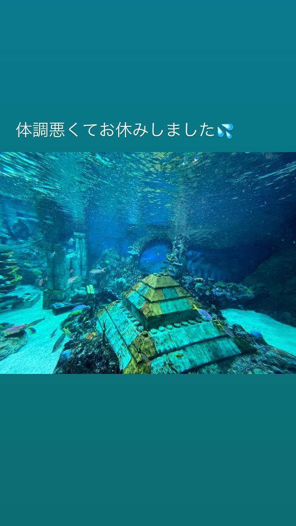 こんにちは✨