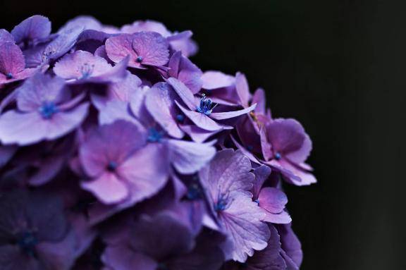 梅雨がきちゃう🥺