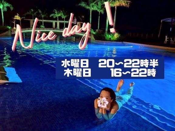 こんにちわん。