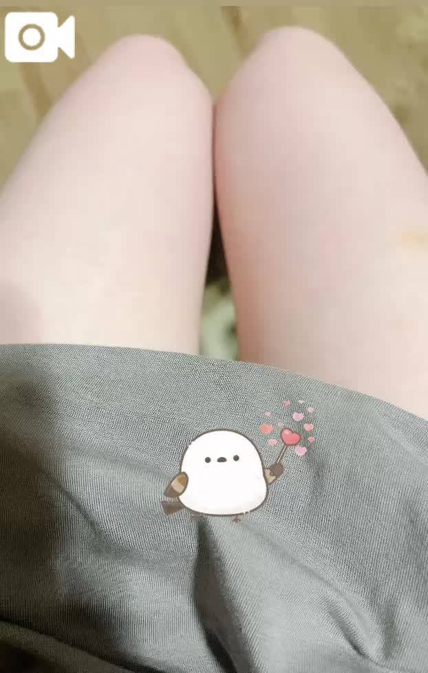 投票日