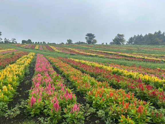 出勤追加しました