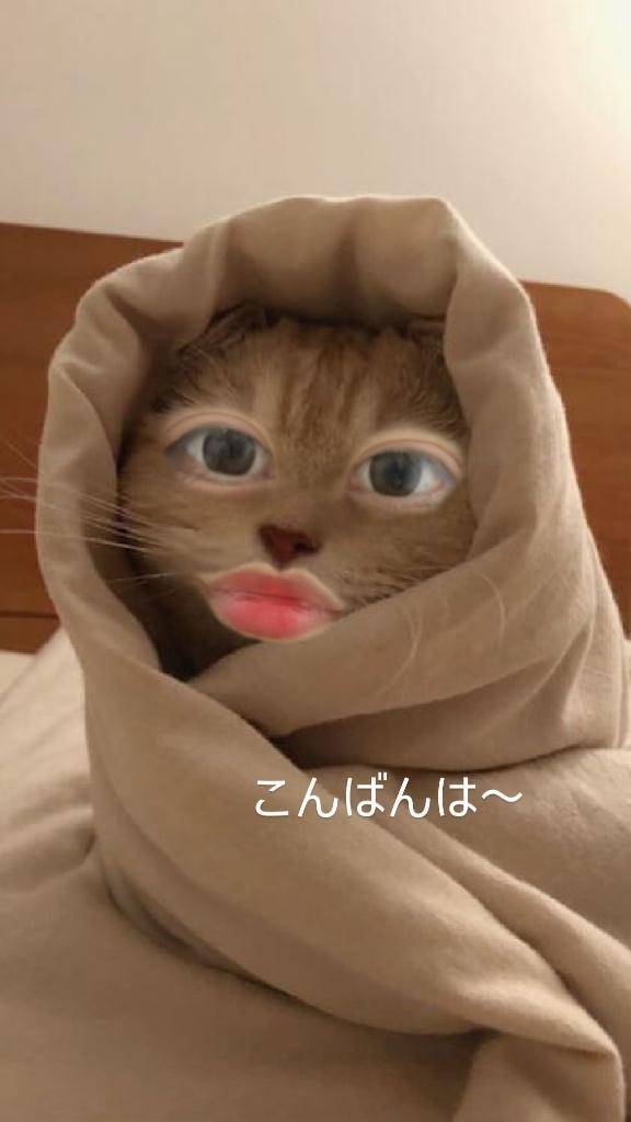 ねむねむ