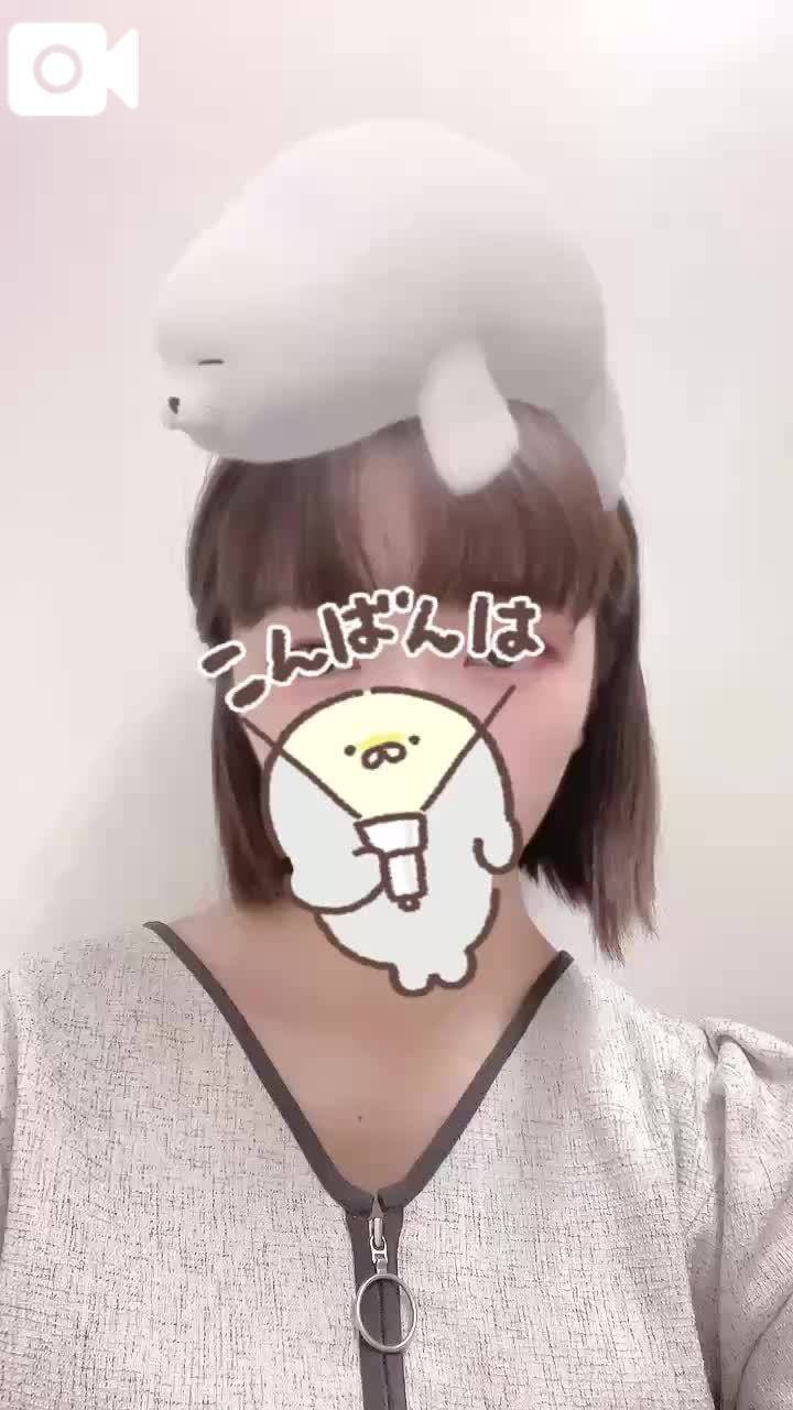 🦭アザラシころころ〜🦭