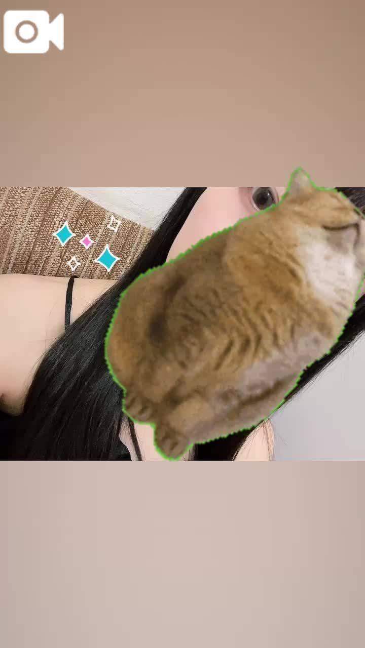おはよー