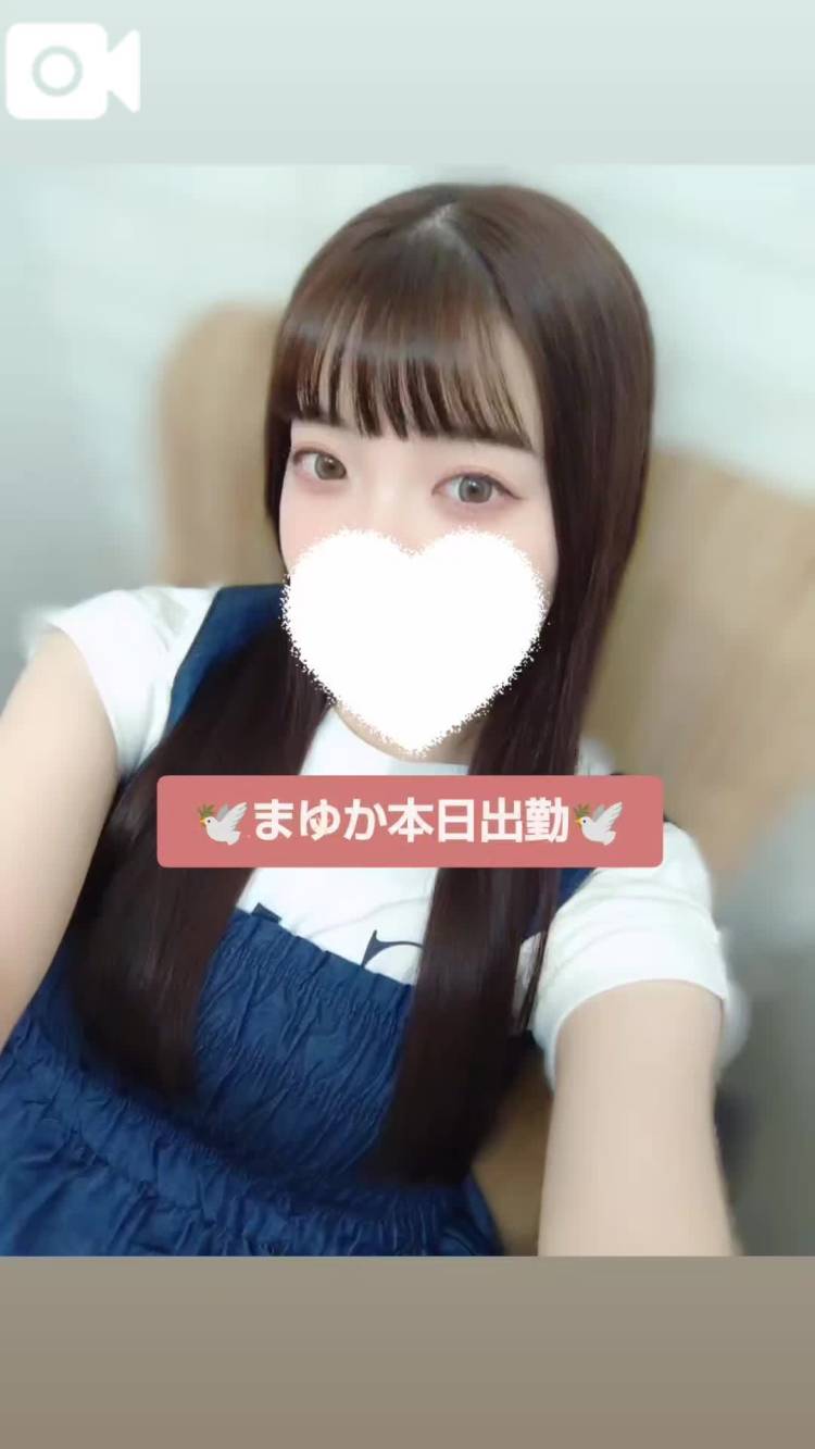 🕊️これから🕊️