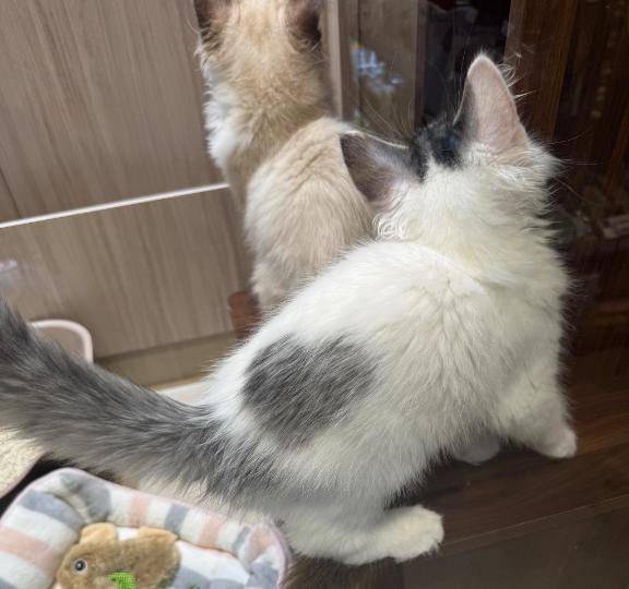 出勤ーー！！🌤️