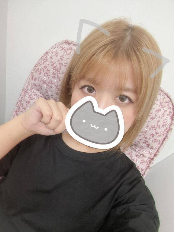 出勤しました🐱