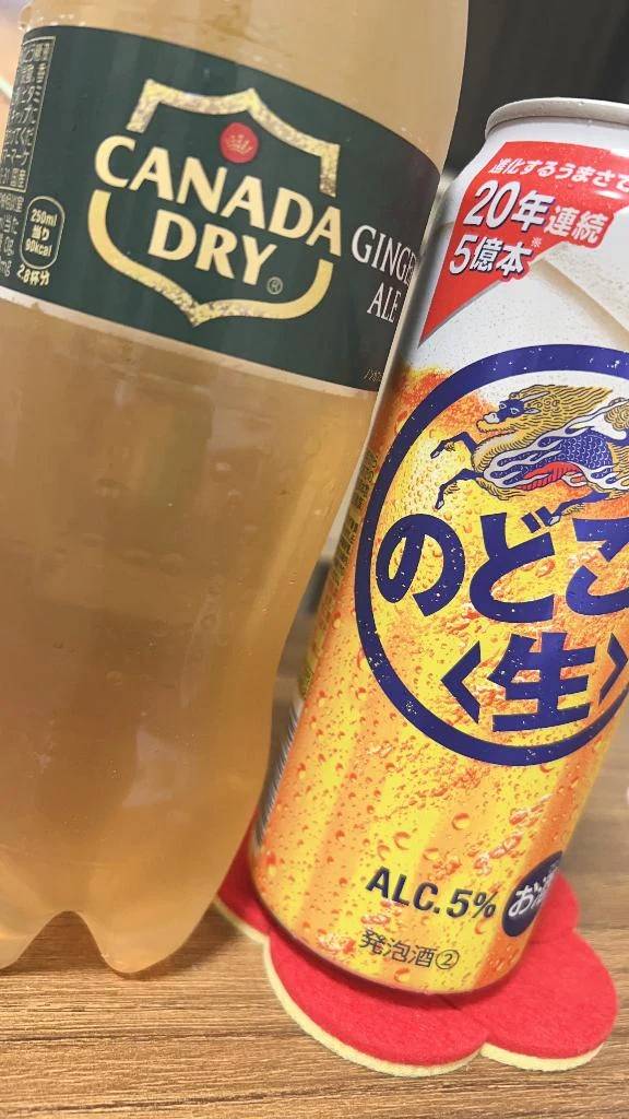 🕊️🤍本日はお休み🤍🕊️