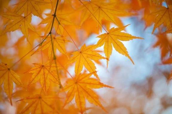 秋の気配がない🍂
