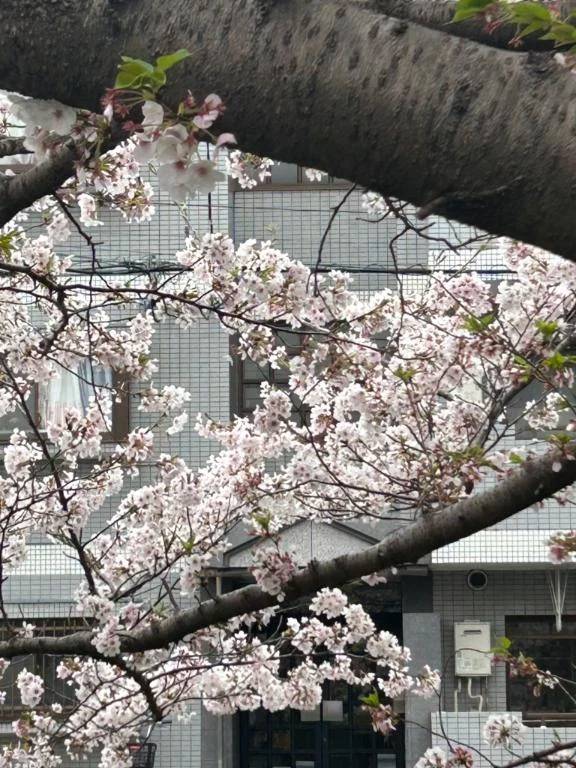 タコピーの原罪