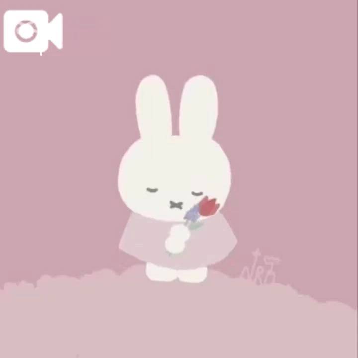 本日もありがとうございます🌸