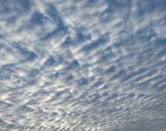 ありがとうございました♡