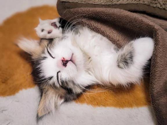 ❣️急遽ですが❣️