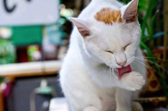 😳まさかの😳