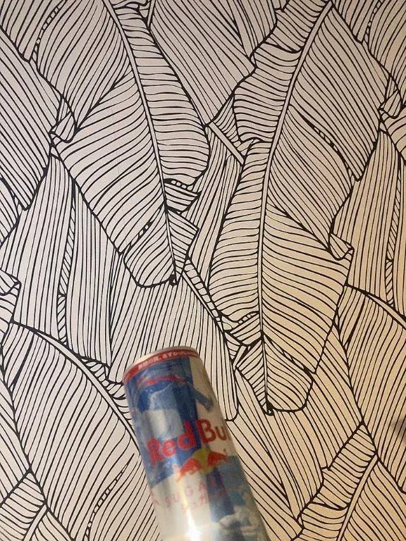 明日は短めです😖