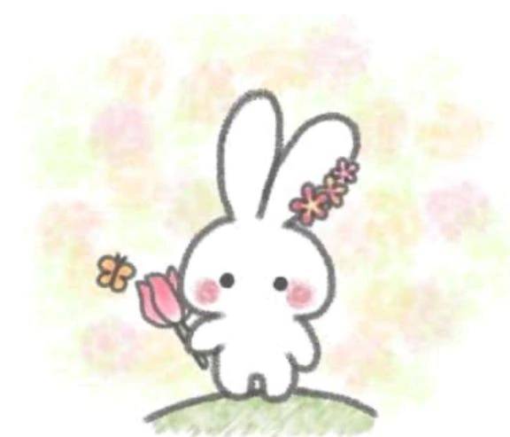 うさぎ₍ᐢ｡•༝•｡ᐢ₎
