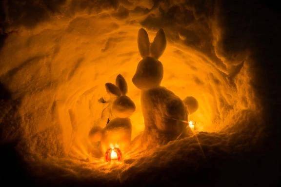 お久しぶり&予定