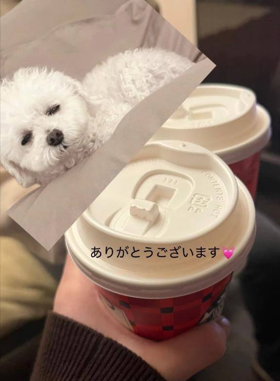 いつもありがとうございます✨️