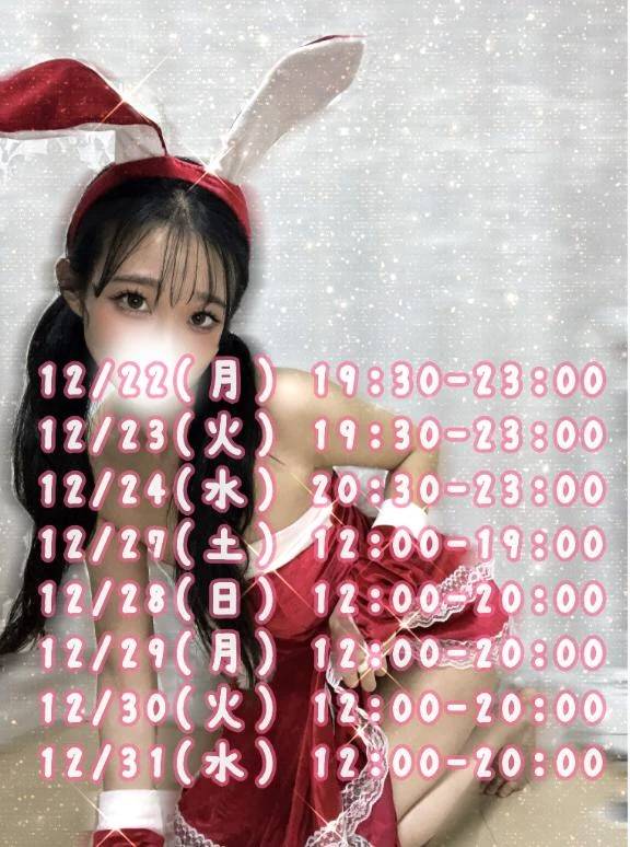 ひなちゃん、年末出勤シてます🐣