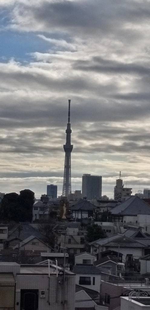 12月23日19時半～