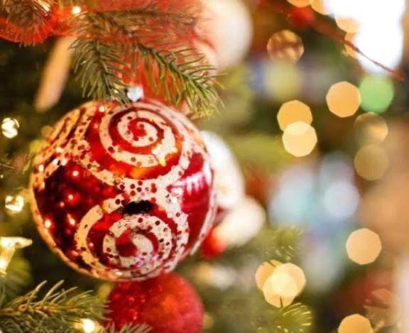 年内の予定🐈‍⬛🐾