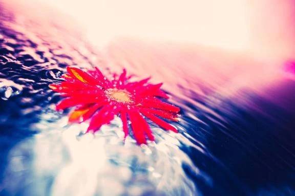 あけおめです❣️