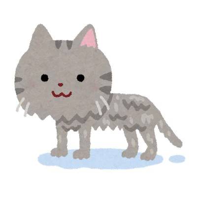 電❤︎でスプラッシュ率上がる💦💦