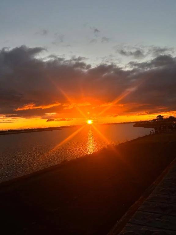 申し訳ないです