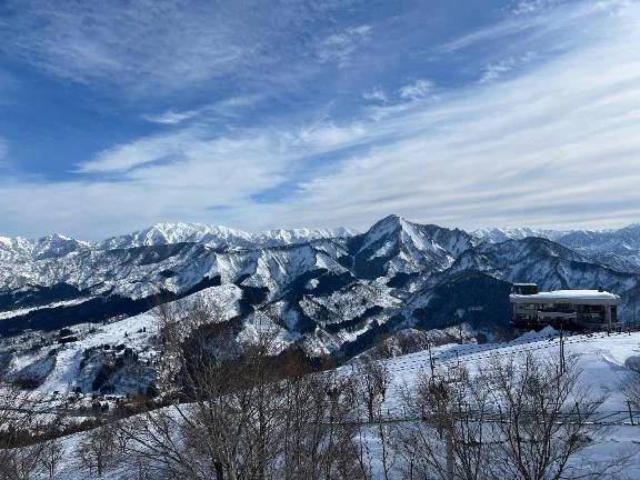 31日出勤します🐻‍❄️