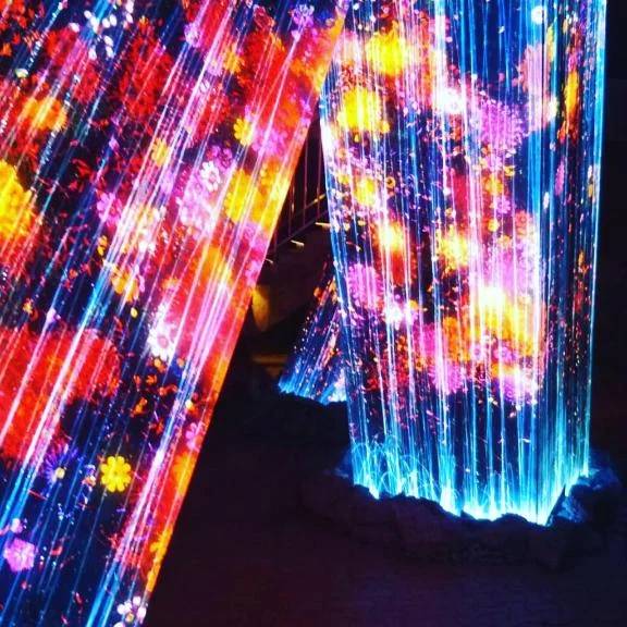 本日のことです。