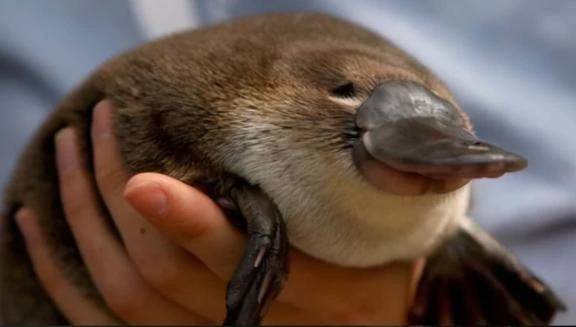 花粉に負けて今これ