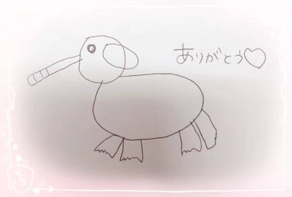 ゾウさんだよ、、？🐘