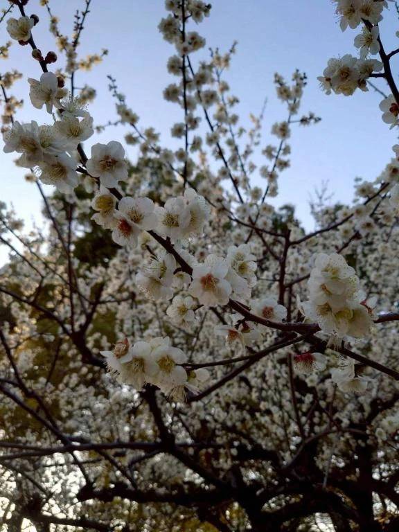 出勤しました！