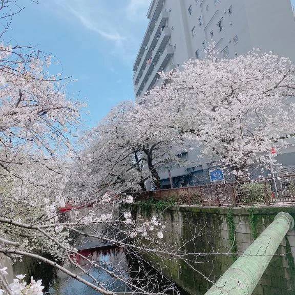 3/27お礼💌