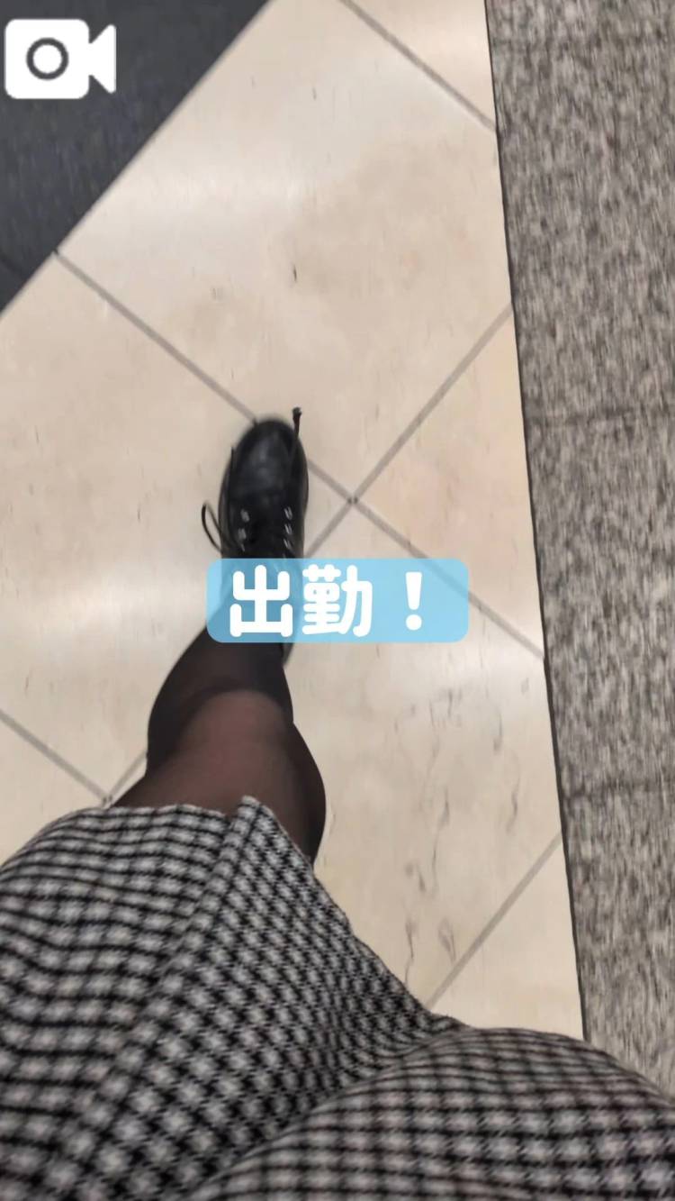 本日！