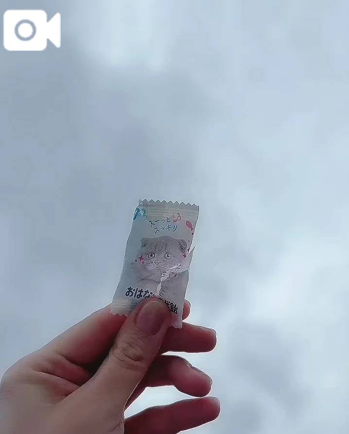 地震怖かった😣