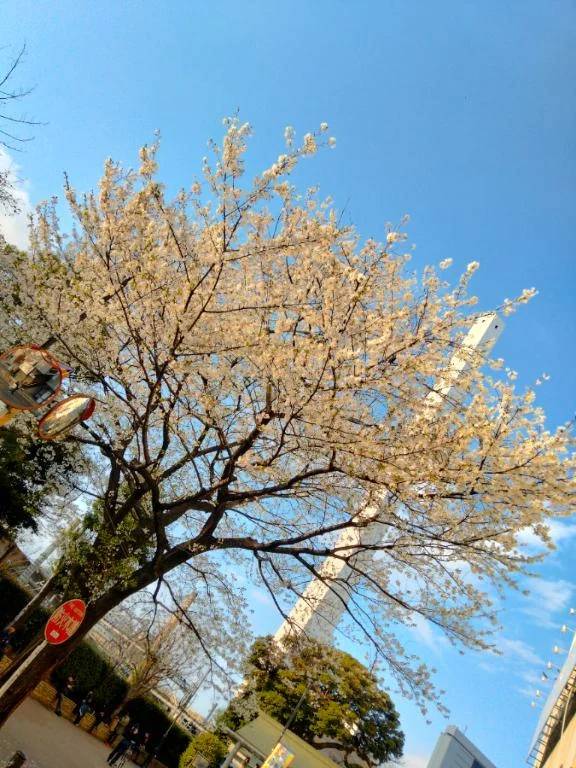 今日も少し寒いですね☃️
