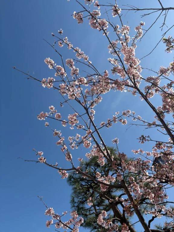 今日は、出勤日♡