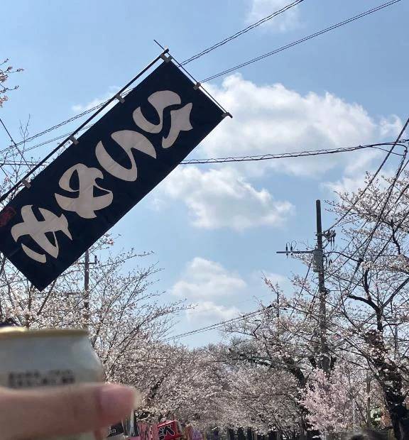 🌸 満開すぎて優勝してた日 🌸
