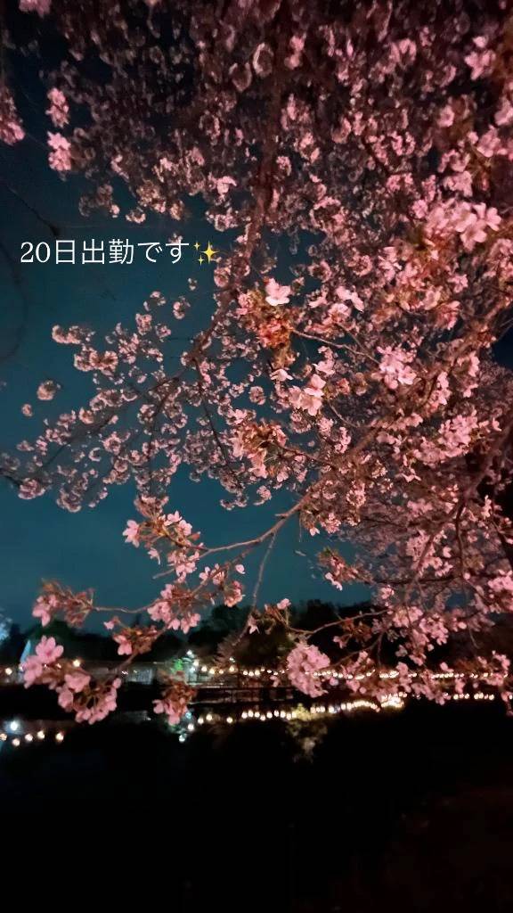 ！！急遽！！