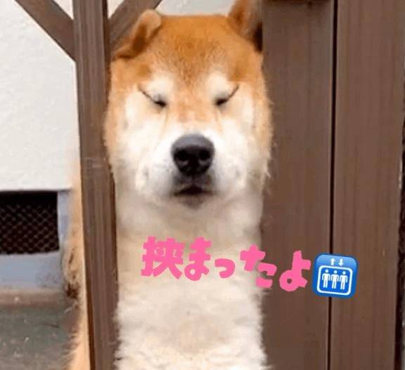 はさまったけど助けてもらいました🥺💖