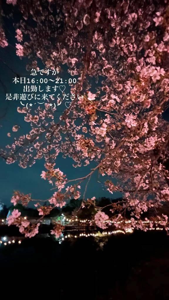 おはようございます☀️