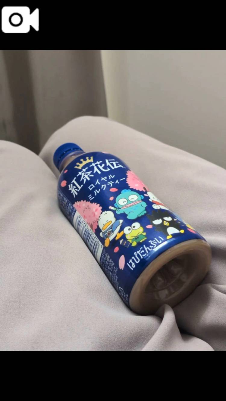 本日！