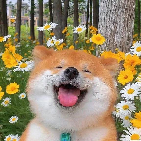 出勤します！