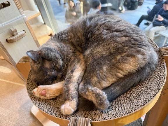 ゴメン！