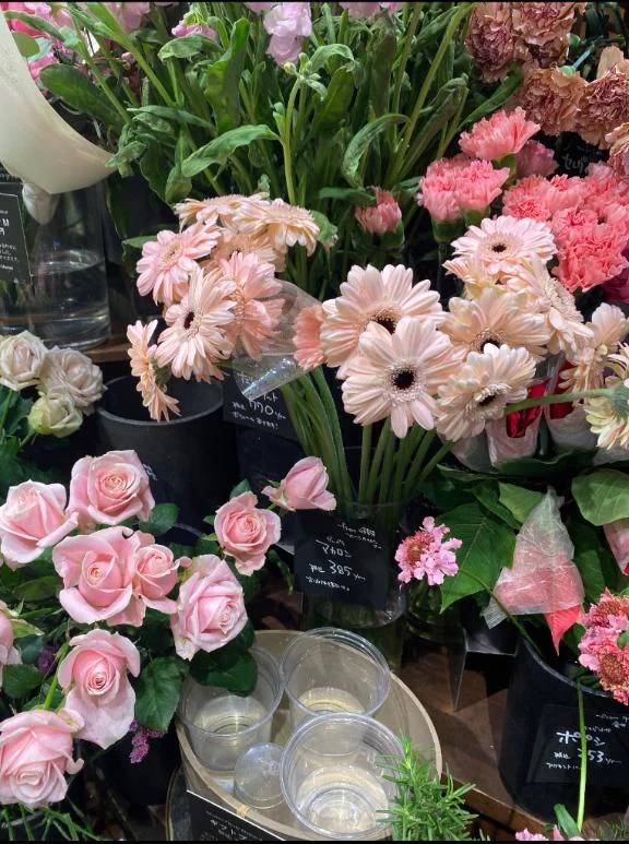 ₍ᐢ｡•༝•｡ᐢ₎　可愛いお花に癒されて💐