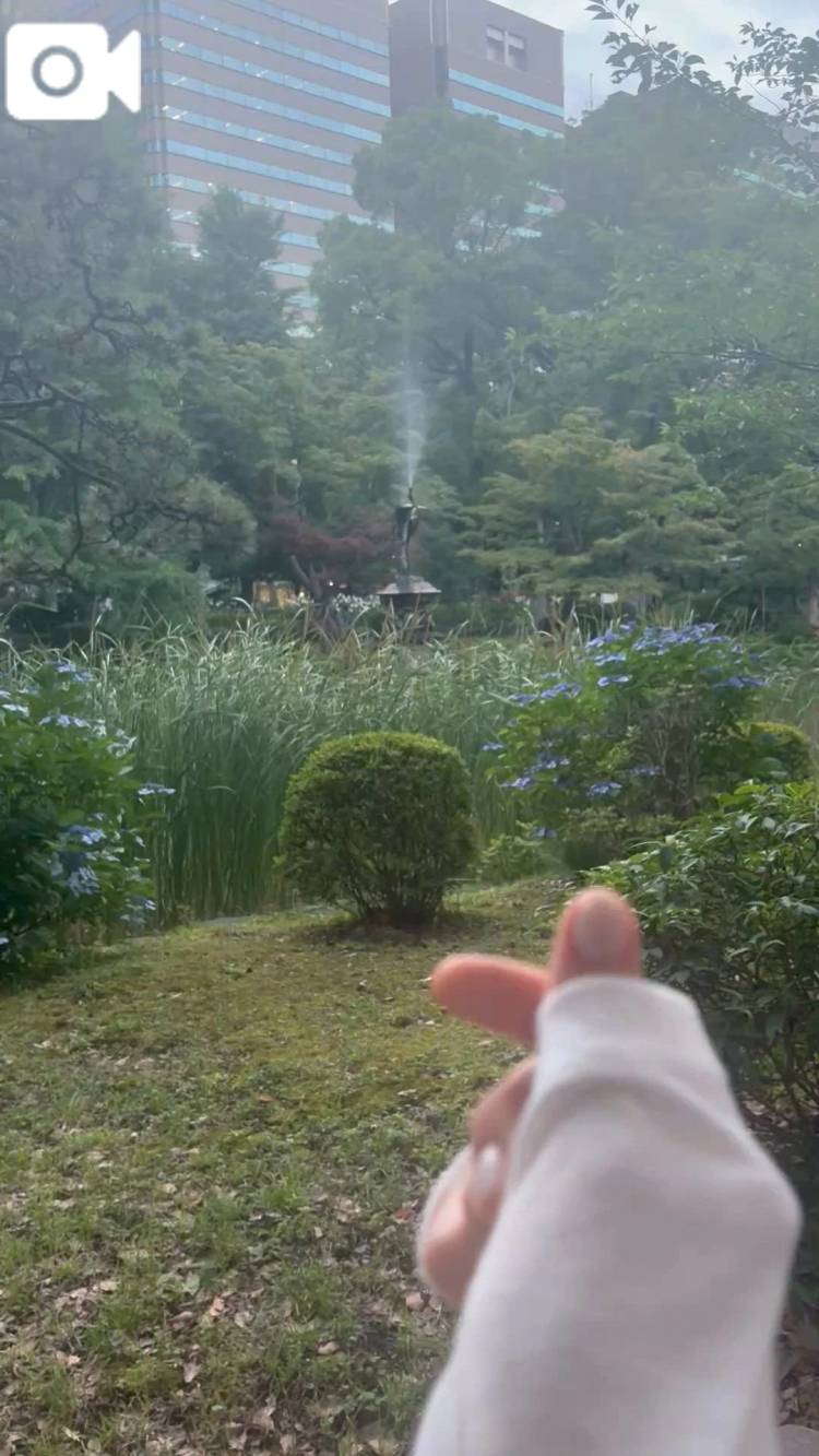 永田町から銀座まで歩いた🐈🌷