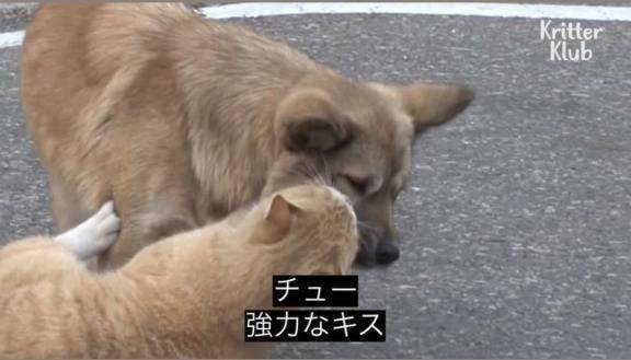 ことね（チェックイン素人専門大人女子）