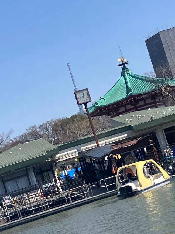 🦢 スワンボート免停危機の日 🦢