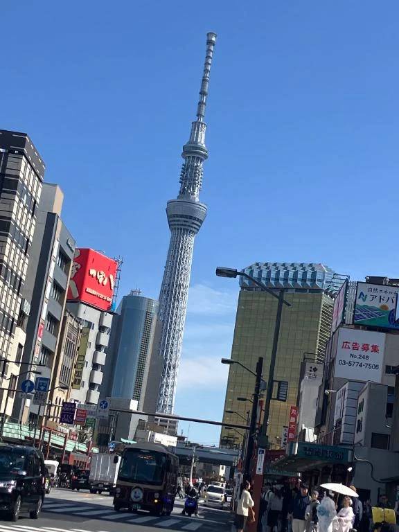 🛍️ 気になるのはプライムセール 🛍️
